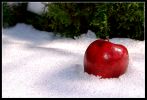 Jablka a sníh